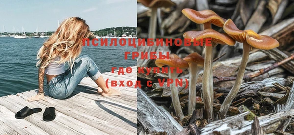mdpv Белокуриха