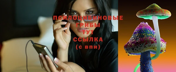 амф Новозыбков