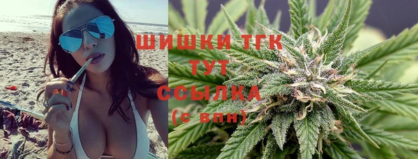 меф Новодвинск