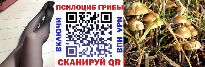Галлюциногенные грибы GOLDEN TEACHER  Нефтекамск 