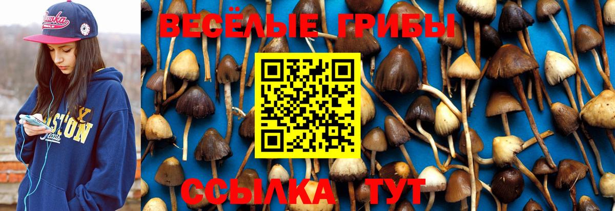 Нефтекамск  Галлюциногенные грибы прущие грибы  Вход с VPN 